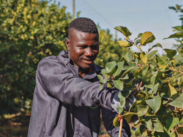 Smart Agri SA - Home